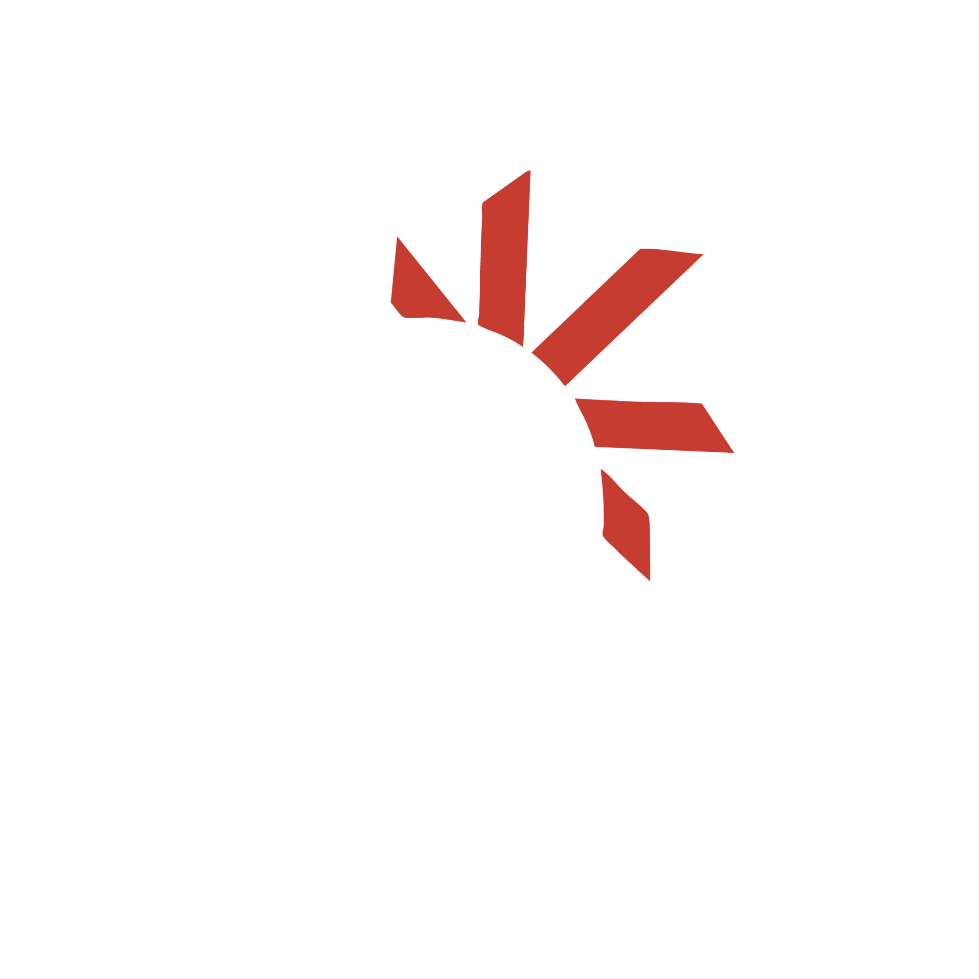 R+I Logo-1